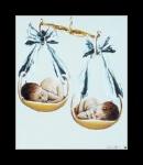 cliquer pour agrandir